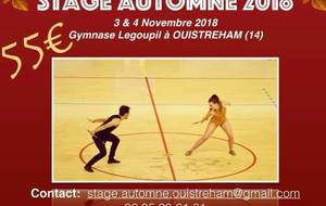 Stage D Automne 2018